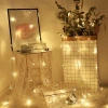 LED small colored lights, flashing lights, string lights, starry sky, low-voltage 24v outdoor waterproof project, solar Christmas star decoration details Picture